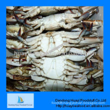 frozen crab Chinese supplier